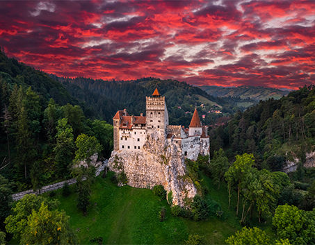 Vista Tourism & Travel A.S.